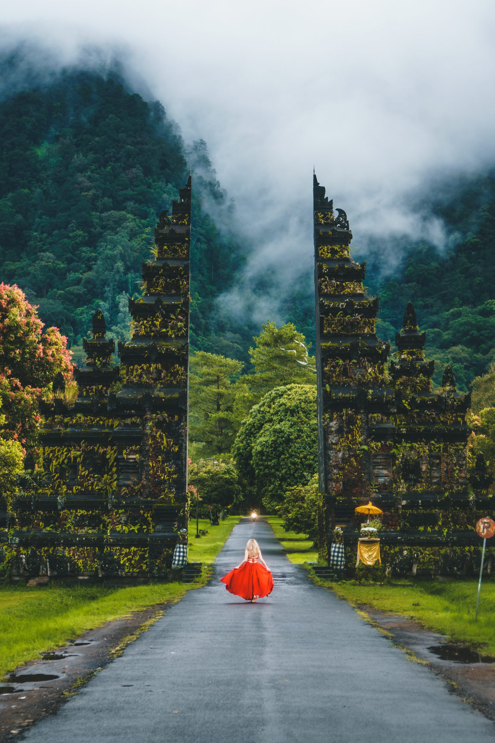 15 of the World’s Wildest Rainforests