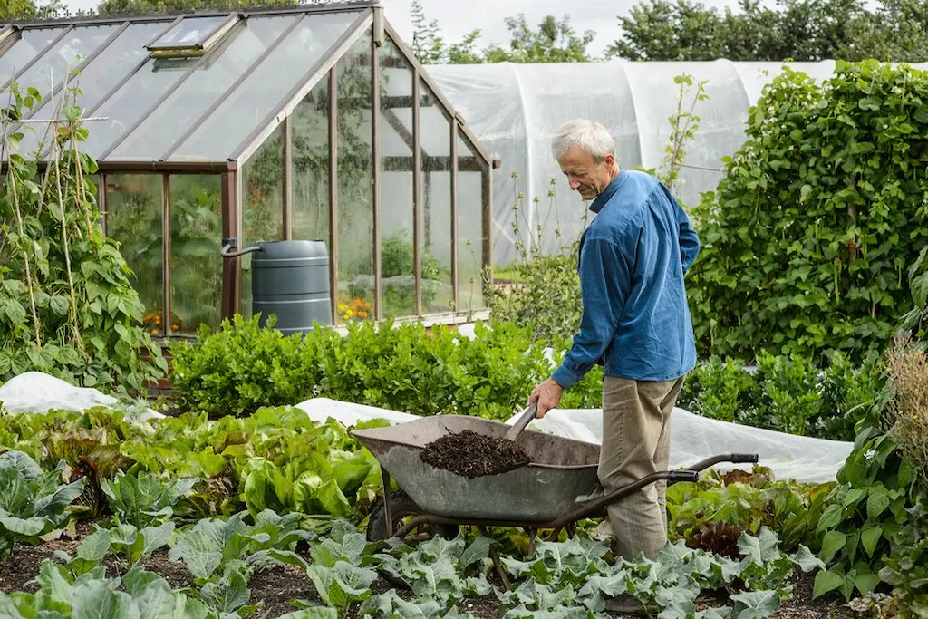 how gardening improves mental well-being and longevity