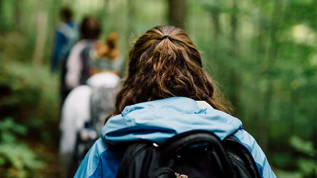 the hidden impact of nature on mental health